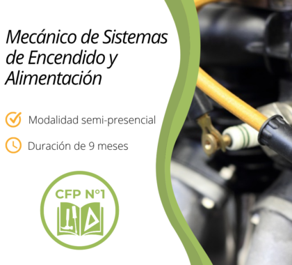 Mecánico de Sistemas de Encendido y Alimentación